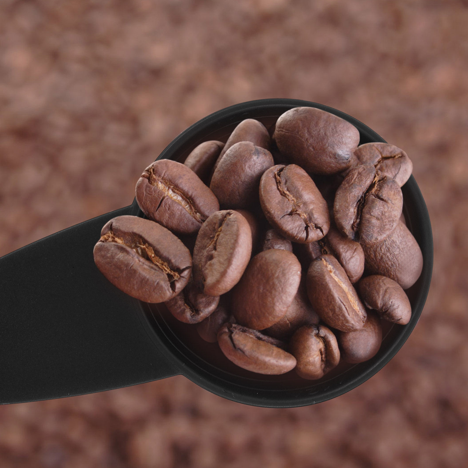 5 قطع من ملاعق القياس طويلة ال - مراجعة Coffee Tea Spices وسعره